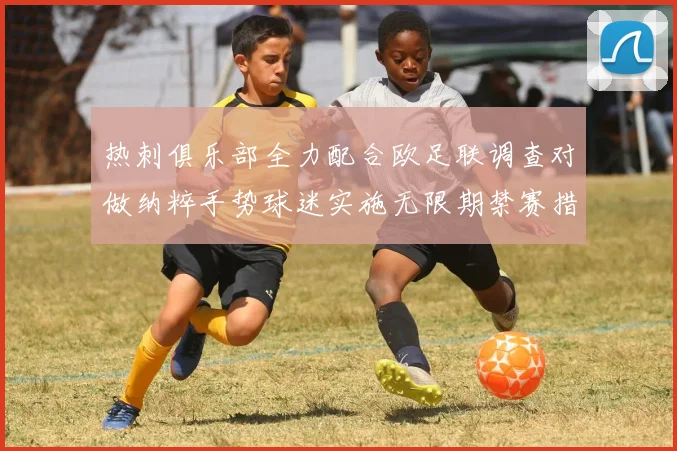 热刺俱乐部全力配合欧足联调查对做纳粹手势球迷实施无限期禁赛措施
