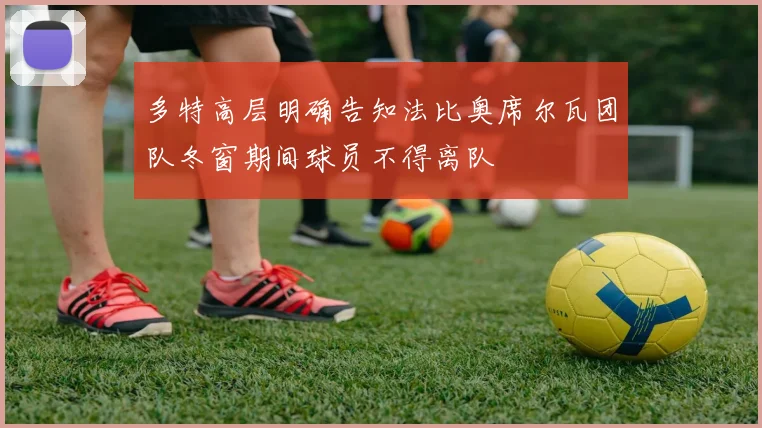 多特高层明确告知法比奥席尔瓦团队冬窗期间球员不得离队